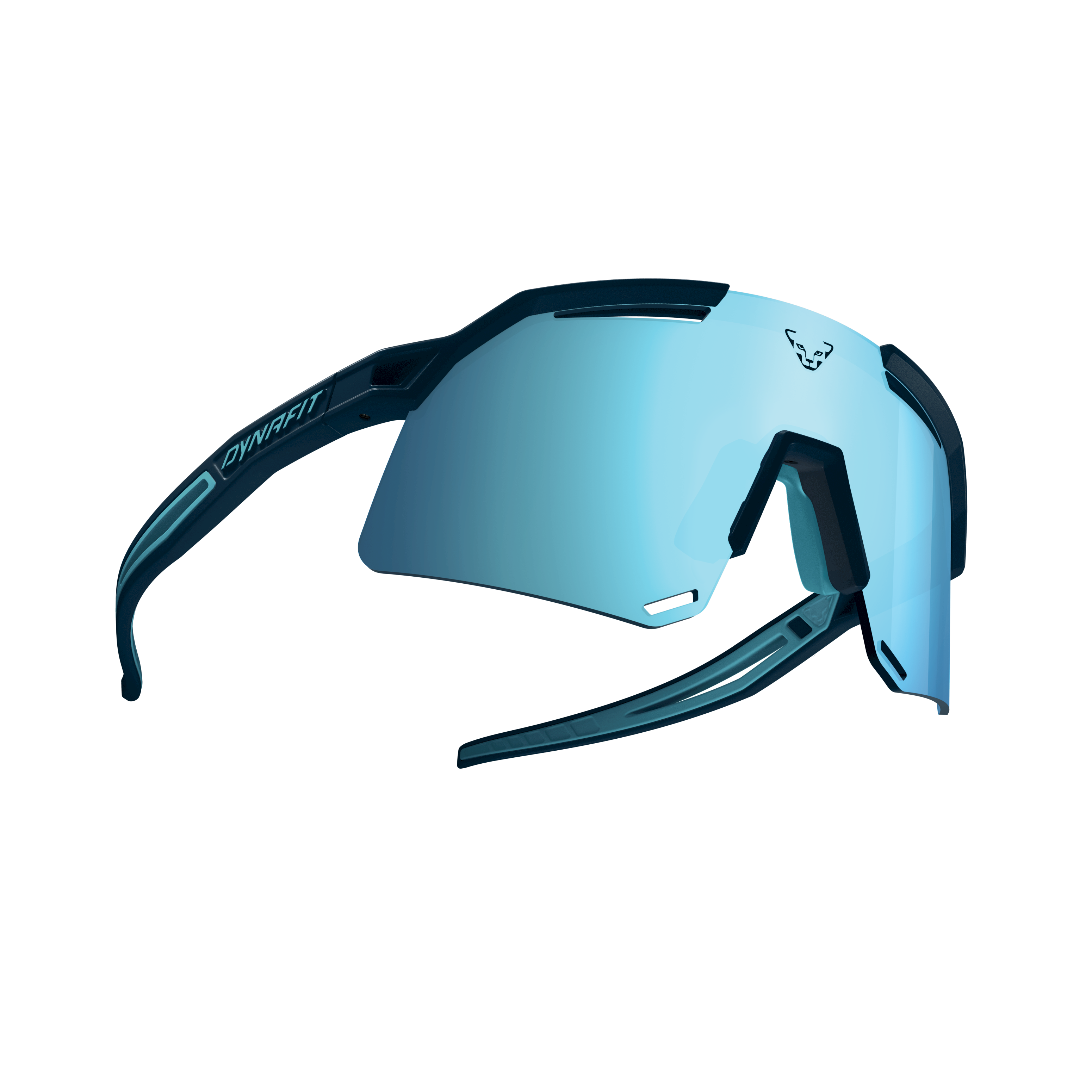 Ultra Evo Sunglasses