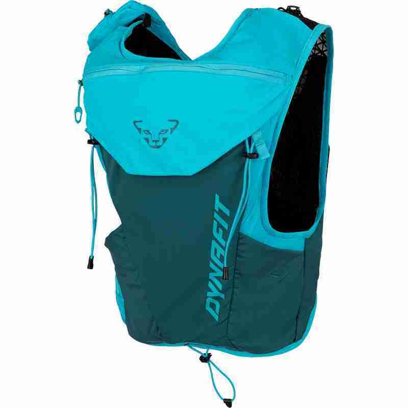 ALPINE 9 Backpack