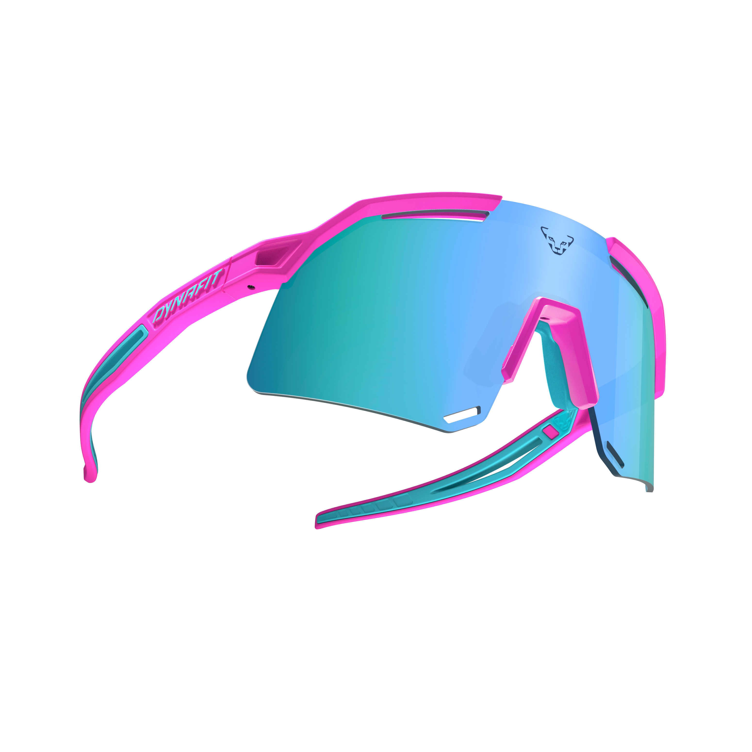 Ultra Evo Sunglasses