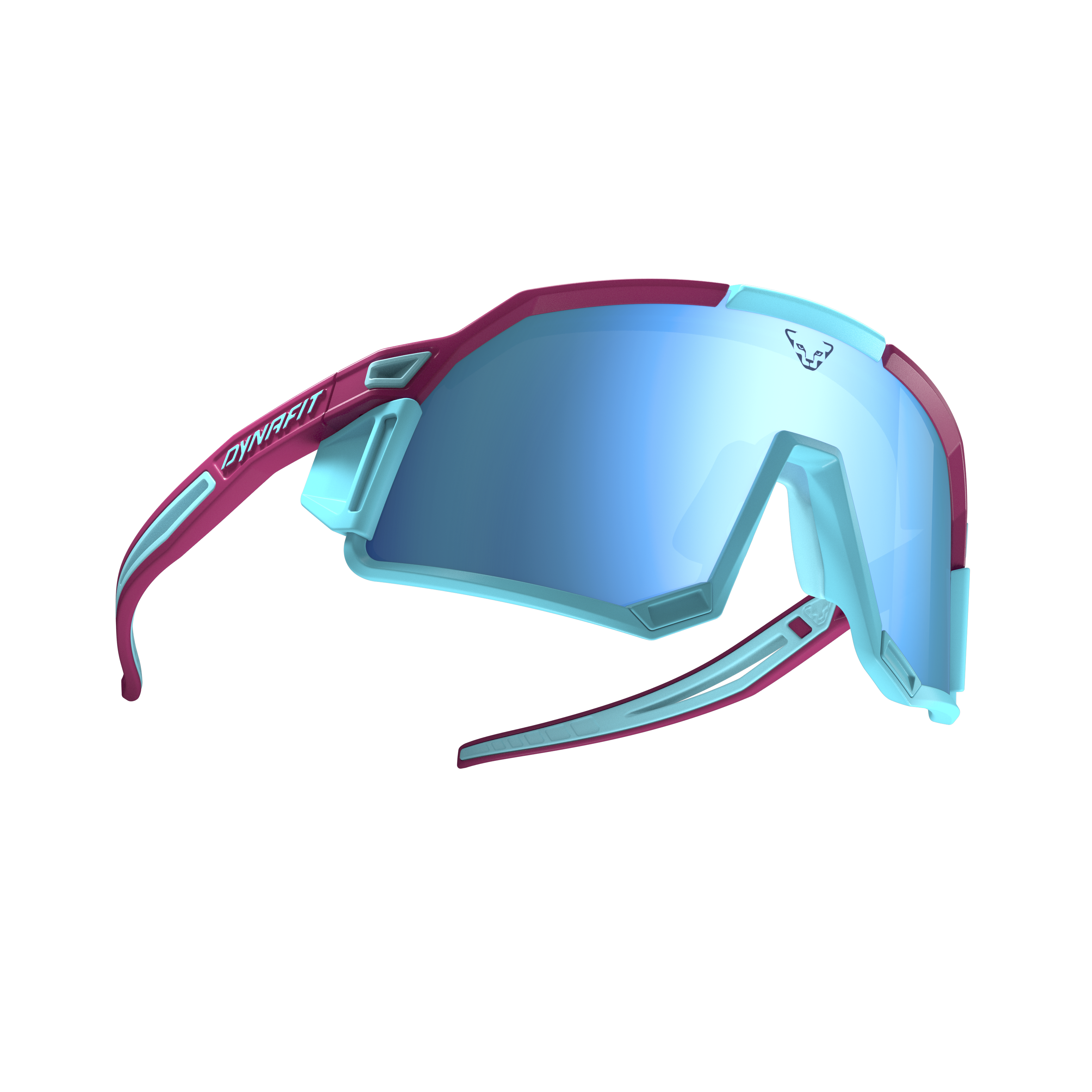 Sky Evo Sunglasses